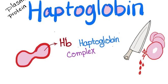 [Xét nghiệm 51] Haptoglobin (Haptoglobine/ Haptoglobin) › Y khoa