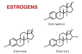 20210107 estrogen la gi 2