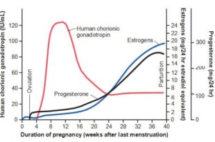 ty le bai tiet estrogen progesterone