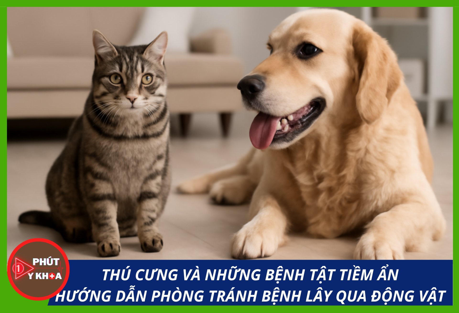Anh bia mau