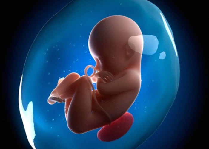 Thiểu ối nguy hiểm như thế nào? IMG 1415