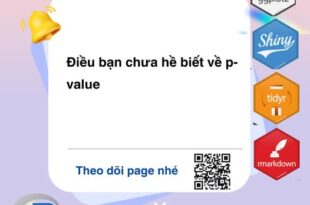 493924224 122129727728744214 6860753121965030460 n