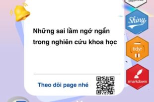 505363792 122137543868744214 8089375823658116715 n