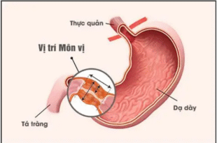 Screenshot 2025 09 06 234213