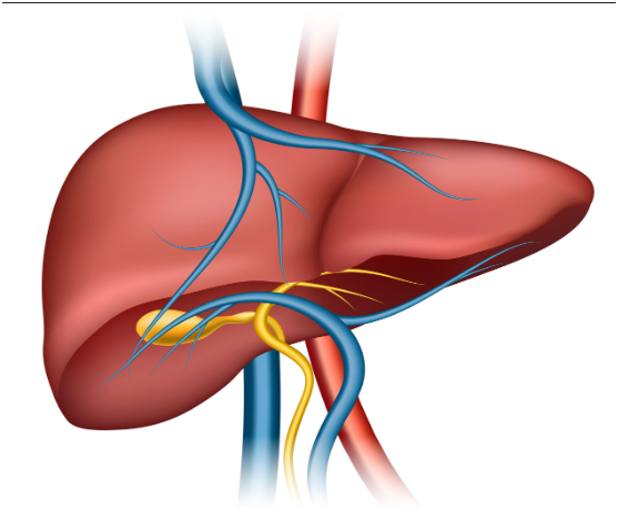 Screenshot 2025 09 27 152902