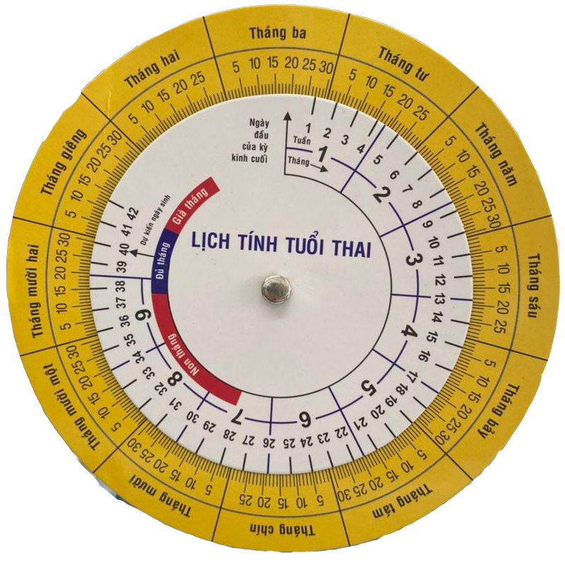 cf01048c8098ca54c66ca1f5308cb884