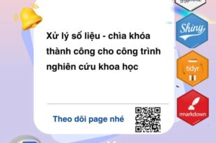 510556427 122139668522744214 5397036459418815913 n