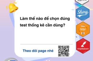 516489638 122141490146744214 6188631034369671249 n