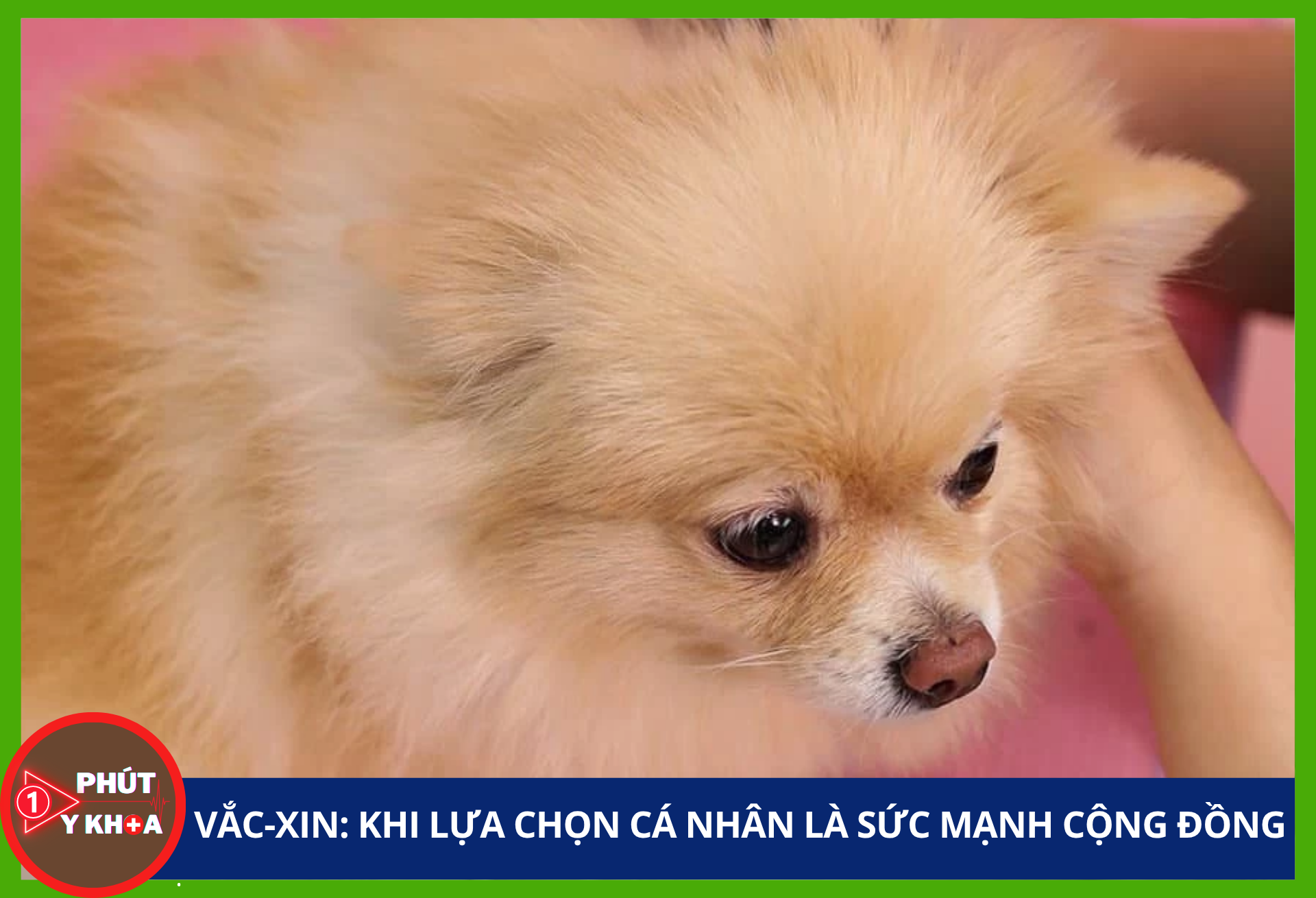 Cảnh báo: Những nguồn gây dị ứng trong nhà bạn có thể đang bỏ qua Anh bia mau 1 1