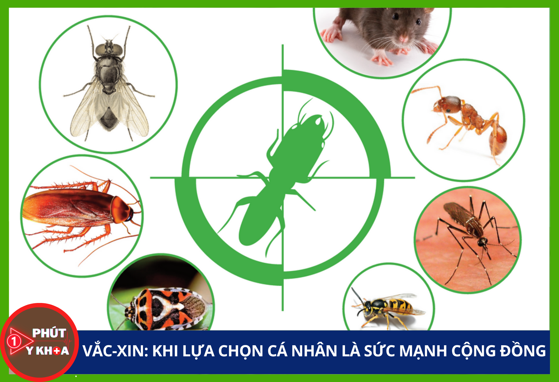 Cảnh báo: Những nguồn gây dị ứng trong nhà bạn có thể đang bỏ qua Anh bia mau 3 1