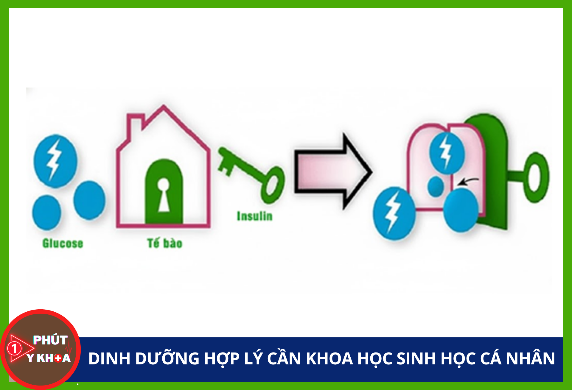 Dinh dưỡng hợp lý cần khoa học sinh học cá nhân Anh bia mau 5