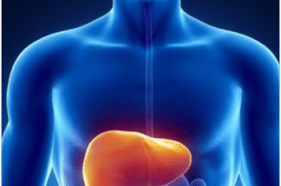 Screenshot 2025 10 11 145749