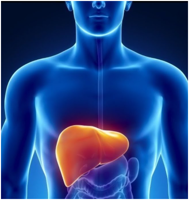 Screenshot 2025 10 11 145749