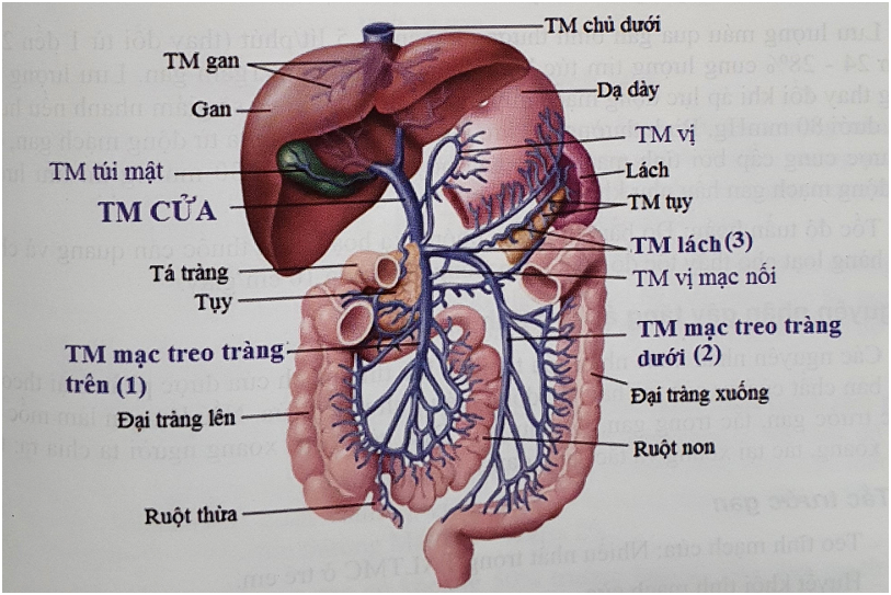 Screenshot 2025 10 18 223953