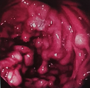 Screenshot 2025 10 18 224253 e1760803326922