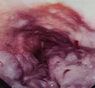 Screenshot 2025 10 18 224309 e1760803281994