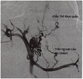 Screenshot 2025 10 18 224351