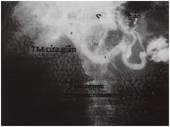 Screenshot 2025 10 18 224409