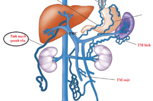 Screenshot 2025 10 18 225814