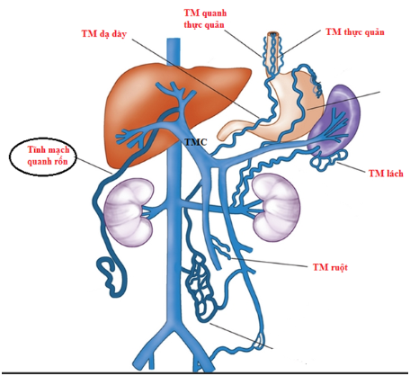 Screenshot 2025 10 18 225814