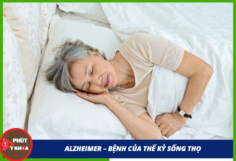 Anh chup man hinh 2025 11 04 033726