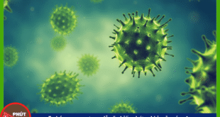 Ban sao cua Anh bia mau 12