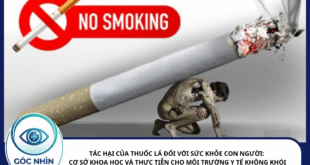 TÁC HẠI CỦA THUỐC LÁ ĐỐI VỚI SỨC KHỎE CON NGƯỜI: CƠ SỞ KHOA HỌC VÀ THỰC TIỄN CHO MÔI TRƯỜNG Y TẾ KHÔNG KHÓI