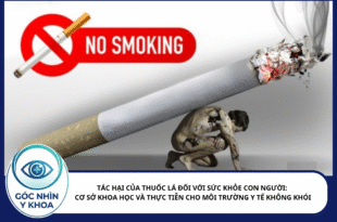 TÁC HẠI CỦA THUỐC LÁ ĐỐI VỚI SỨC KHỎE CON NGƯỜI: CƠ SỞ KHOA HỌC VÀ THỰC TIỄN CHO MÔI TRƯỜNG Y TẾ KHÔNG KHÓI