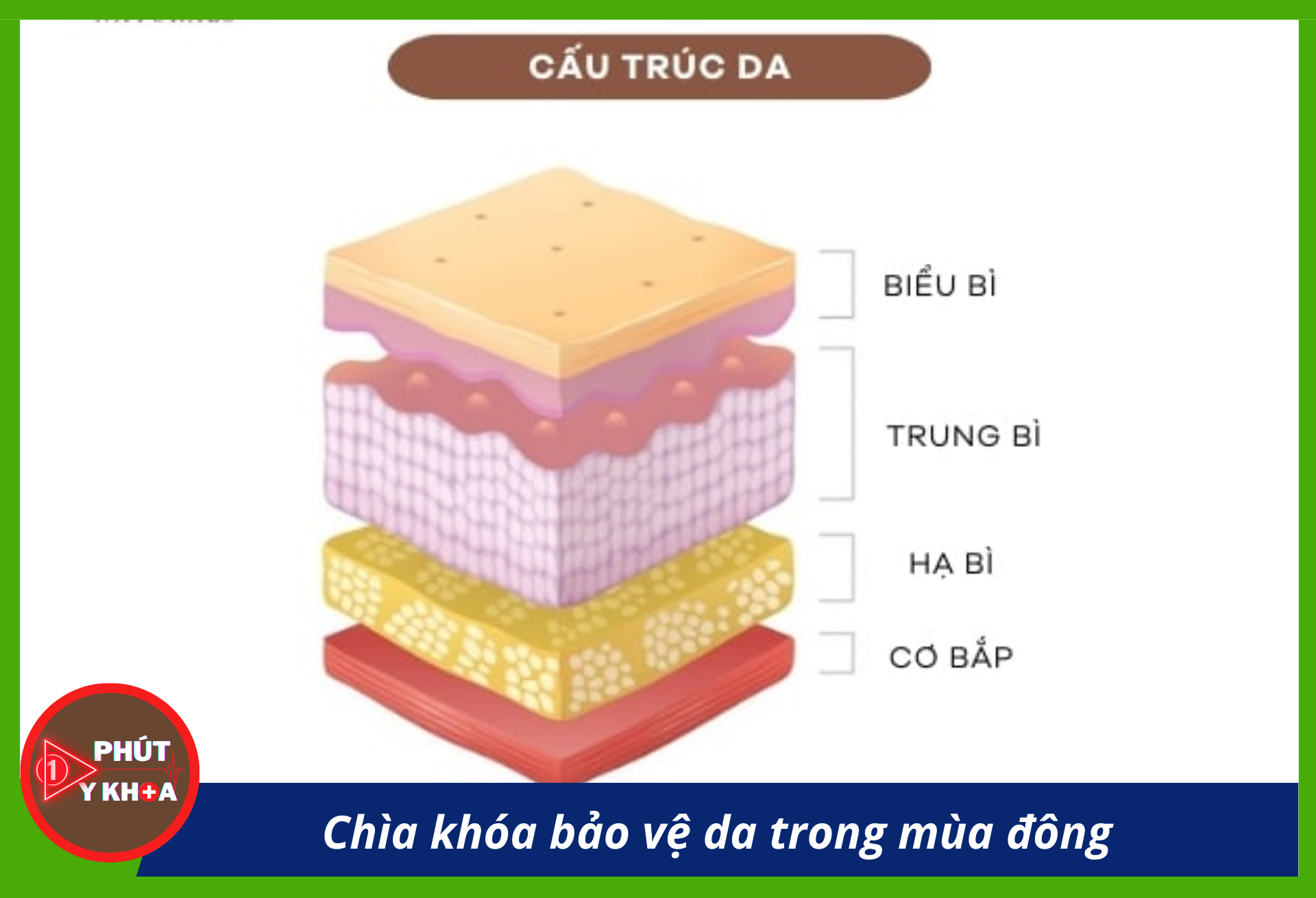 Anh bia mau 15 1