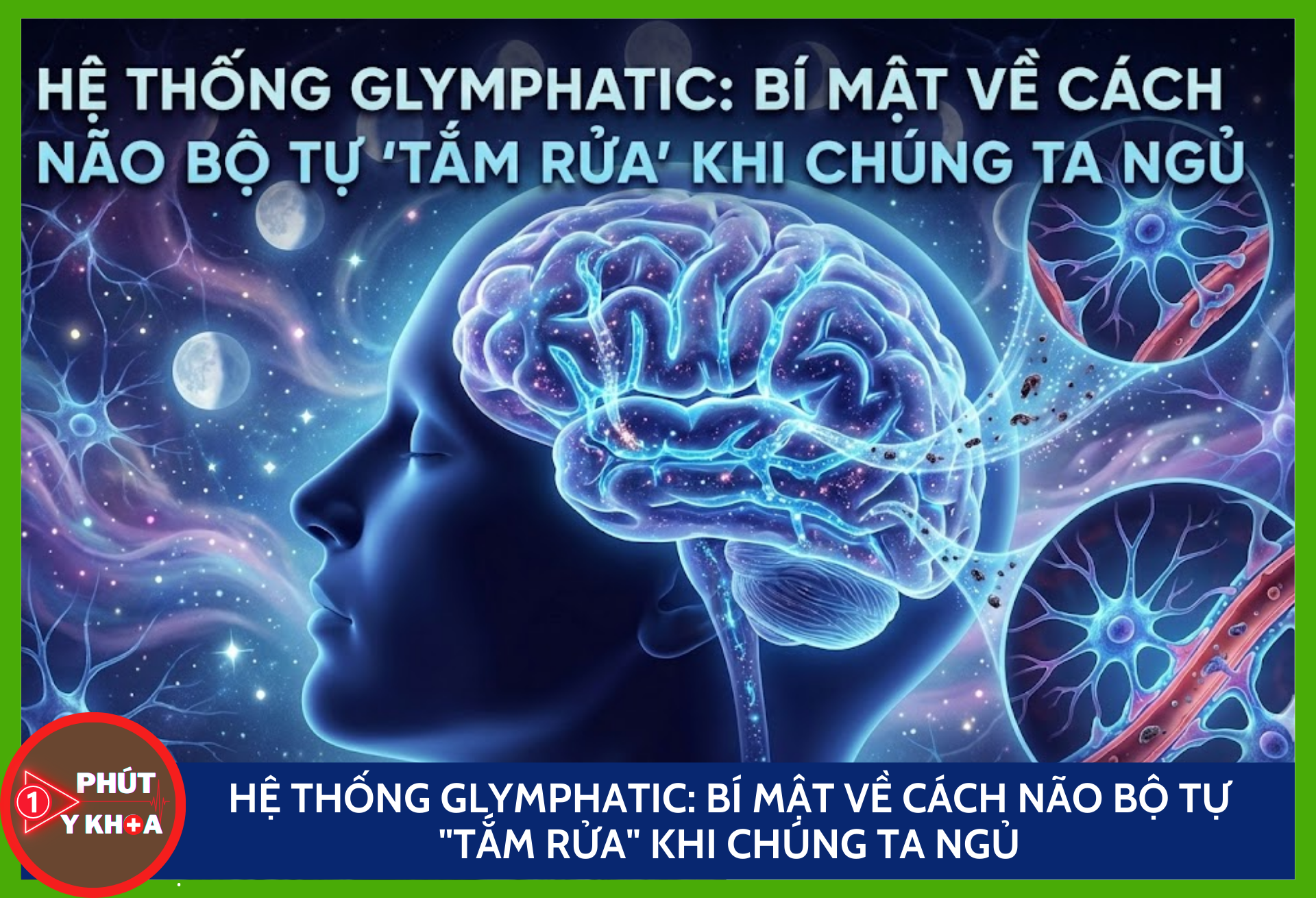 Hệ thống glymphatic: Bí mật về cách não bộ tự "tắm rửa" khi chúng ta ngủ Anh bia mau