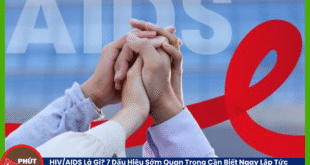 Ban sao cua Anh bia mau 23