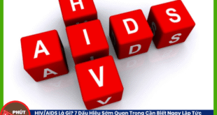 Ban sao cua Anh bia mau 36