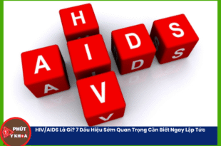 Ban sao cua Anh bia mau 36