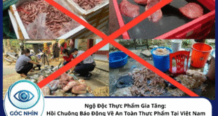 Ngộ độc thực phẩm gia tăng: Hồi chuông báo động về An toàn thực phẩm tại Việt Nam