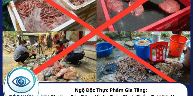 Ngộ độc thực phẩm gia tăng: Hồi chuông báo động về An toàn thực phẩm tại Việt Nam