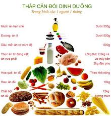 Protein thực vật có thay thế thịt được không? Một phân tích toàn diện dựa trên bằng chứng khoa học download 2