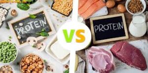 Protein thực vật có thay thế thịt được không? Một phân tích toàn diện dựa trên bằng chứng khoa học download