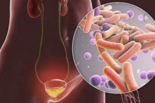 Anh man hinh 2026 01 08 luc 22.50.05