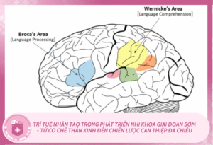 Trí tuệ nhân tạo trong phát triển nhi khoa giai đoạn sớm: từ cơ chế thần kinh đến chiến lược can thiệp đa chiều Ban sao cua Mchau 1