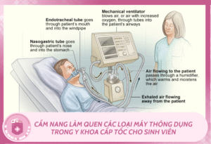 Ban sao cua Mchau 14