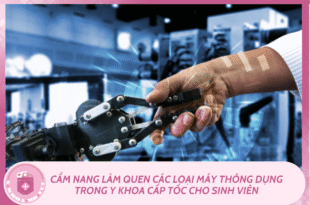 Ban sao cua Mchau 19