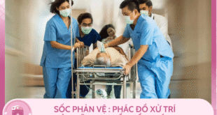 Ban sao cua Mchau 28