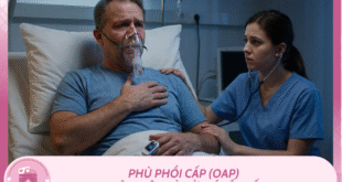 Ban sao cua Mchau 31