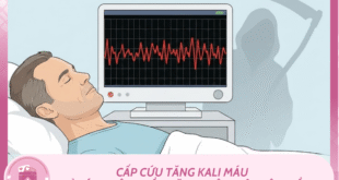 Ban sao cua Mchau 37