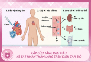 Ban sao cua Mchau 39
