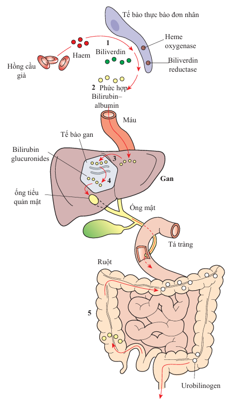 Screenshot 2026 01 13 162955