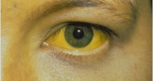 Screenshot 2026 01 13 230528