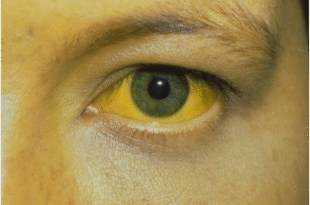 Screenshot 2026 01 13 230528