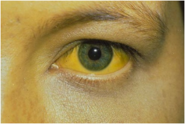 Screenshot 2026 01 13 230528