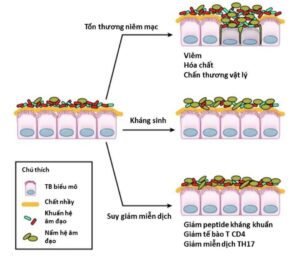 Viêm âm đạo do nấm (phần 1) Screenshot 20260107 074605 ReadEra